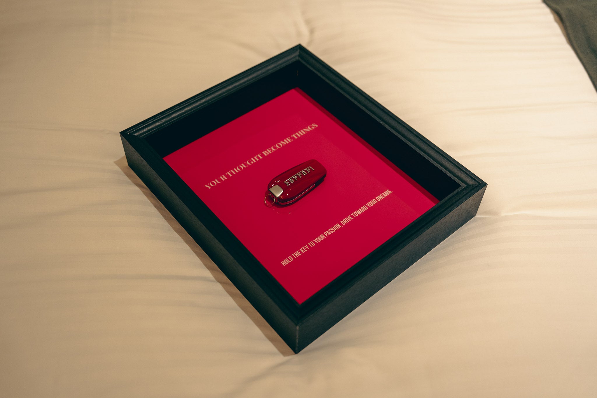 REALITY FOR FERRARI FRAME