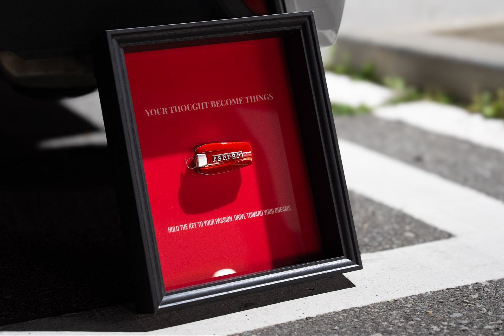 REALITY FOR FERRARI FRAME